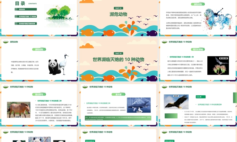 《濒临灭绝动物保护》专题ppt课件.pptx