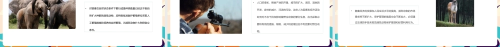 《濒临灭绝动物保护》专题ppt课件.pptx