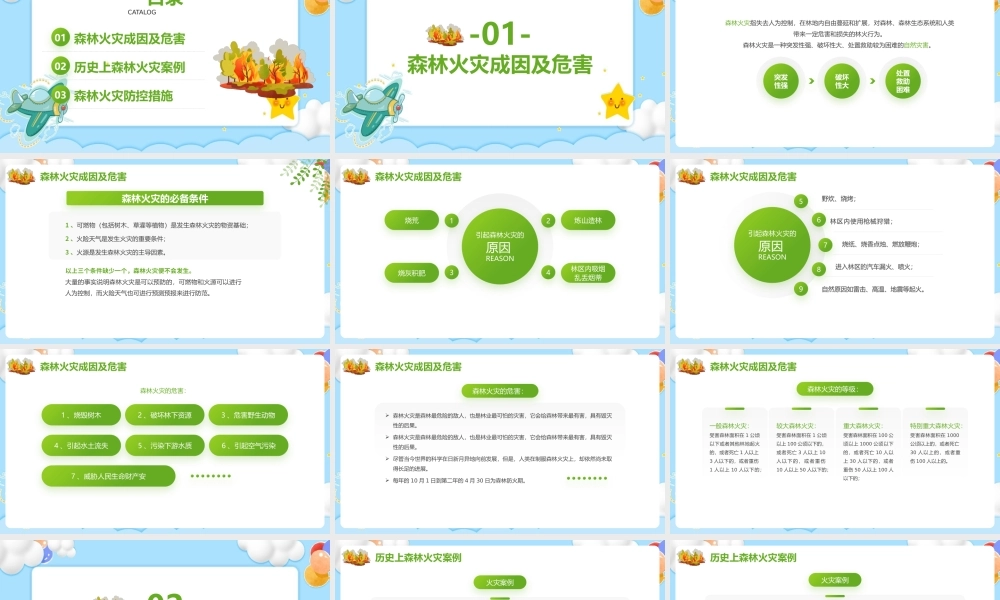 2022年《森林防火知识》精简课件ppt.pptx
