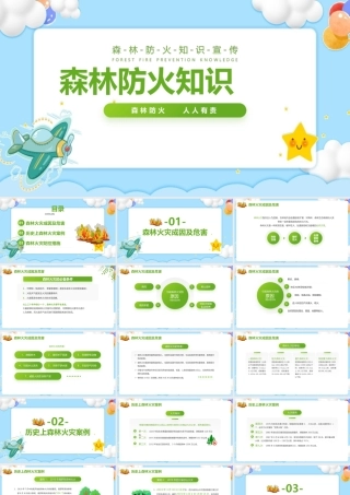 2022年《森林防火知识》精简课件ppt.pptx
