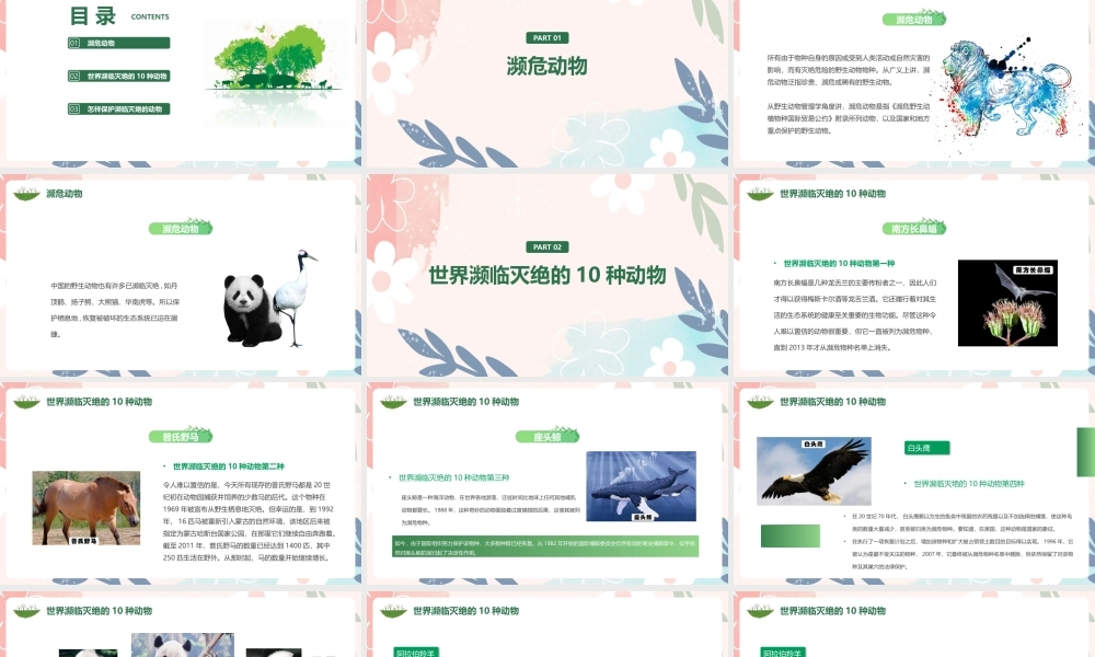 2022年小学二年级学习《濒临灭绝动物保护》ppt.pptx