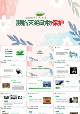 2022年小学二年级学习《濒临灭绝动物保护》ppt.pptx