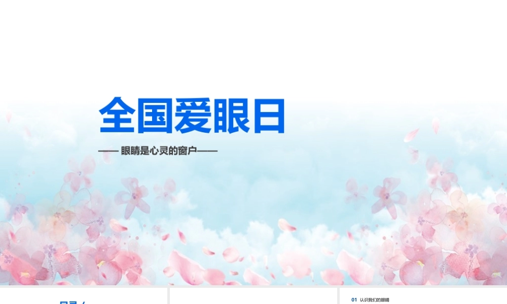 2022年小学三年级学习《全国爱眼日》ppt.pptx