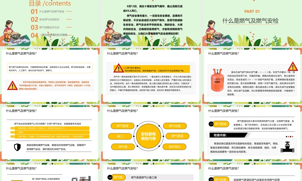 安全用气共筑平安天燃气安全知识完整版解读ppt.pptx