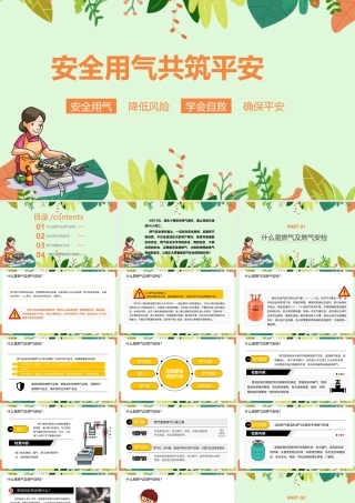 安全用气共筑平安天燃气安全知识完整版解读ppt.pptx