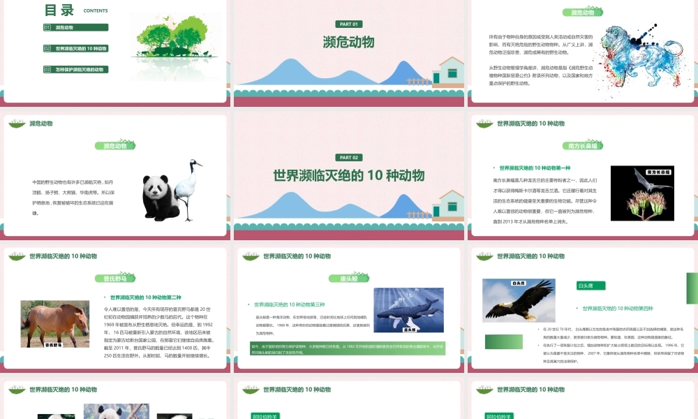 濒临灭绝动物保护完整学习ppt(含内容）.pptx