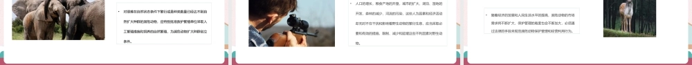 濒临灭绝动物保护完整学习ppt(含内容）.pptx