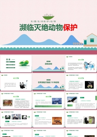 濒临灭绝动物保护完整学习ppt(含内容）.pptx