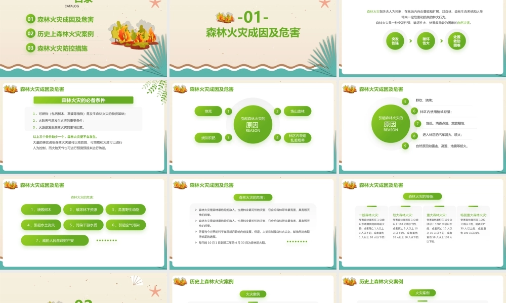 小学六年级学习森林防火知识ppt(含内容）.pptx