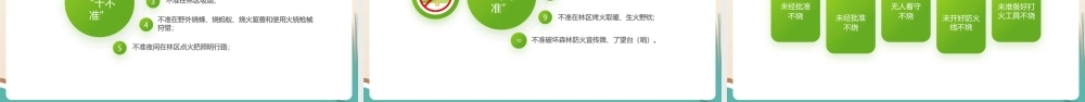 小学六年级学习森林防火知识ppt(含内容）.pptx