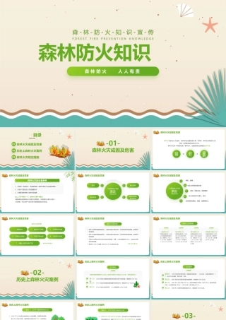 小学六年级学习森林防火知识ppt(含内容）.pptx