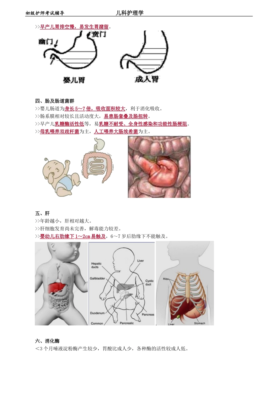初级护师-儿科护理学第五章　消化系统疾病患儿的护理.doc_第2页