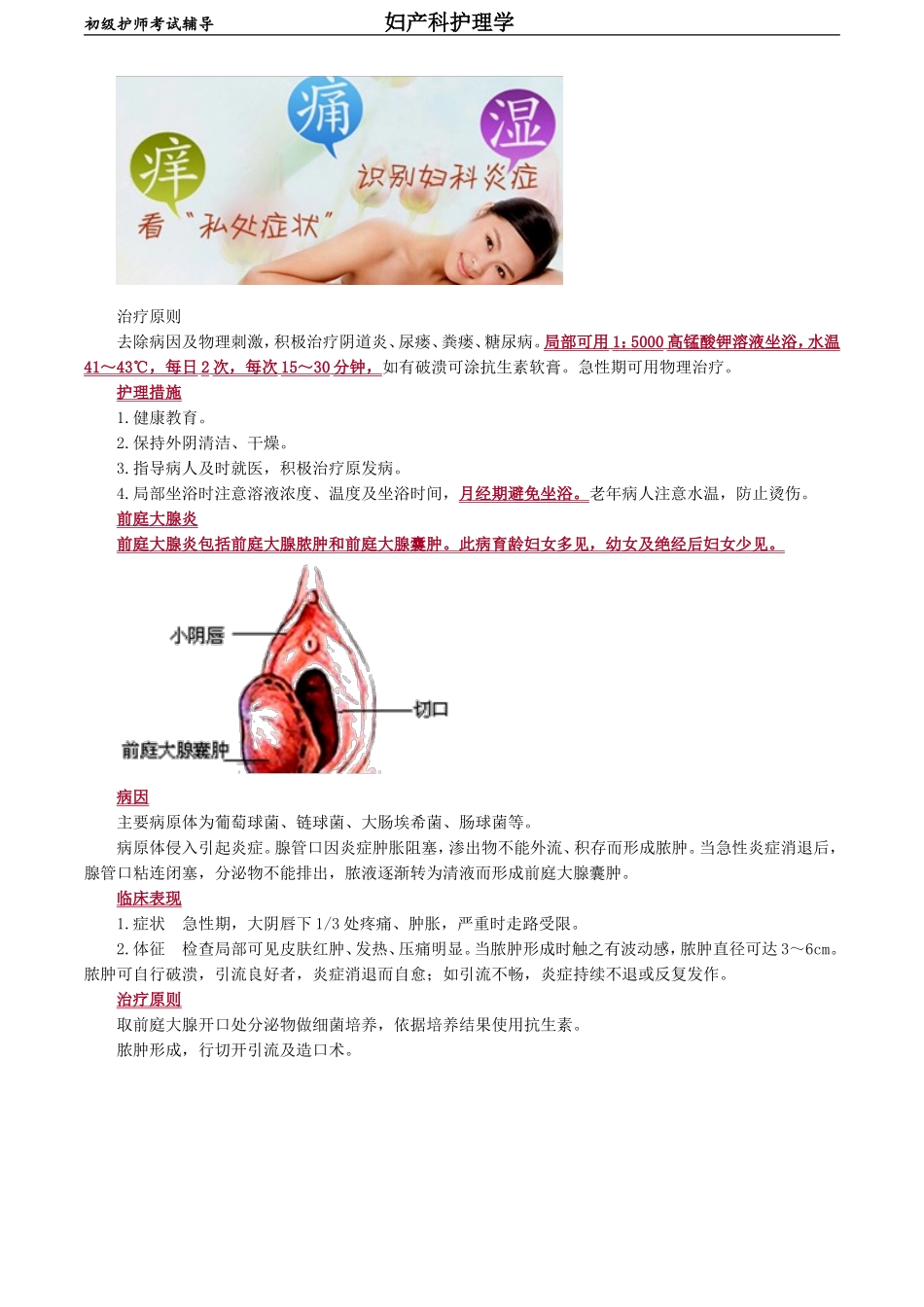 初级护师-妇产科护理学 第十三章　女性生殖系统炎症病人的护理.doc_第2页