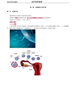 初级护师-妇产科护理学第二章　妊娠期妇女的护理.doc