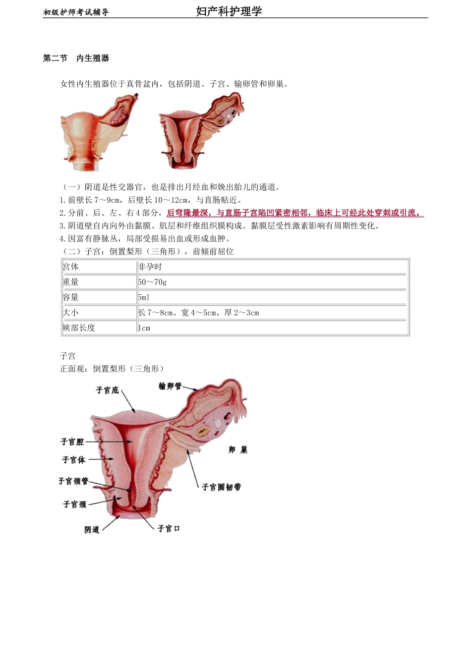 初级护师-妇产科护理学第一章　女性生殖系统解剖与生理.doc_第2页