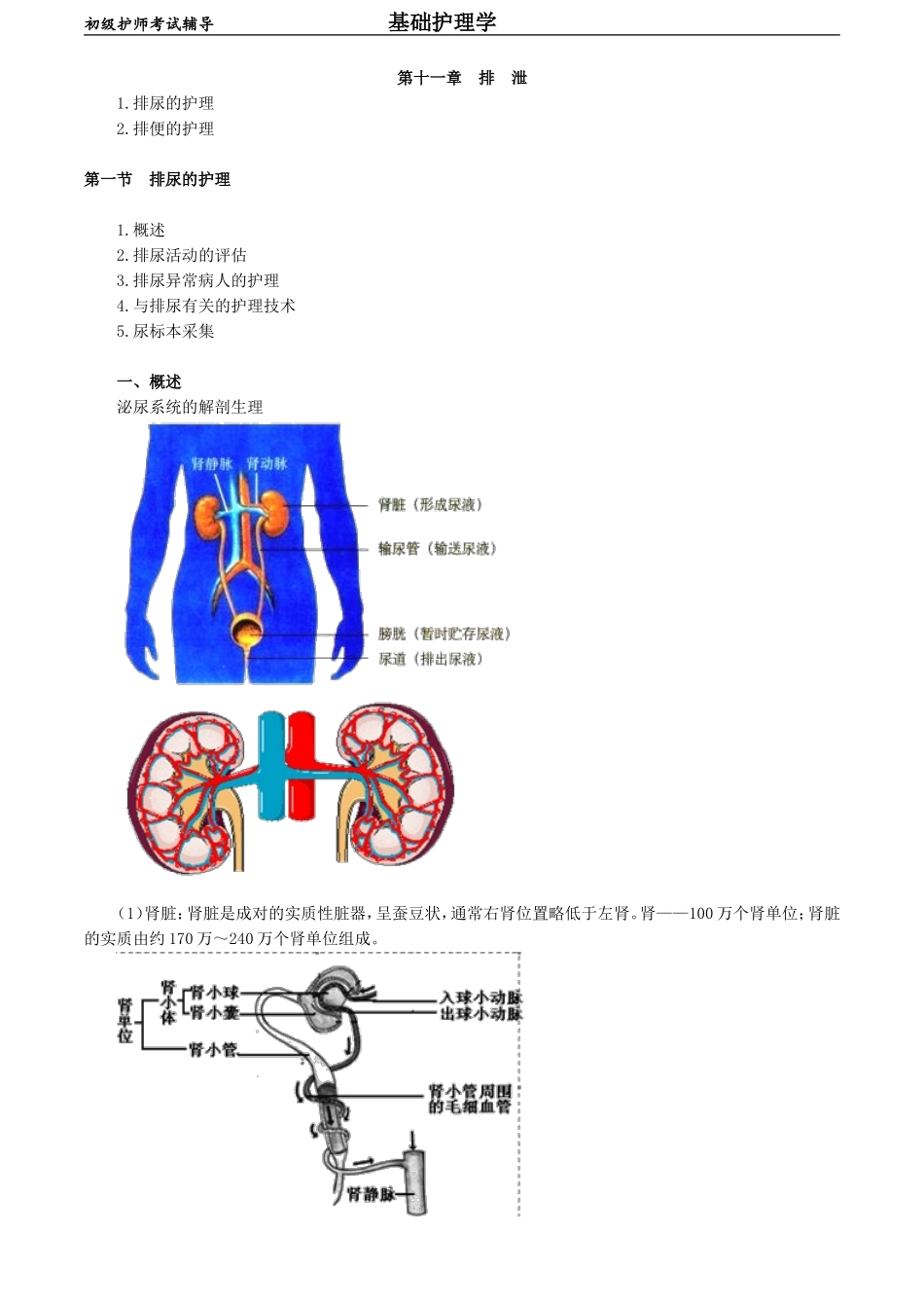 初级护师-基础护理学 第十一章　排　泄.doc_第1页
