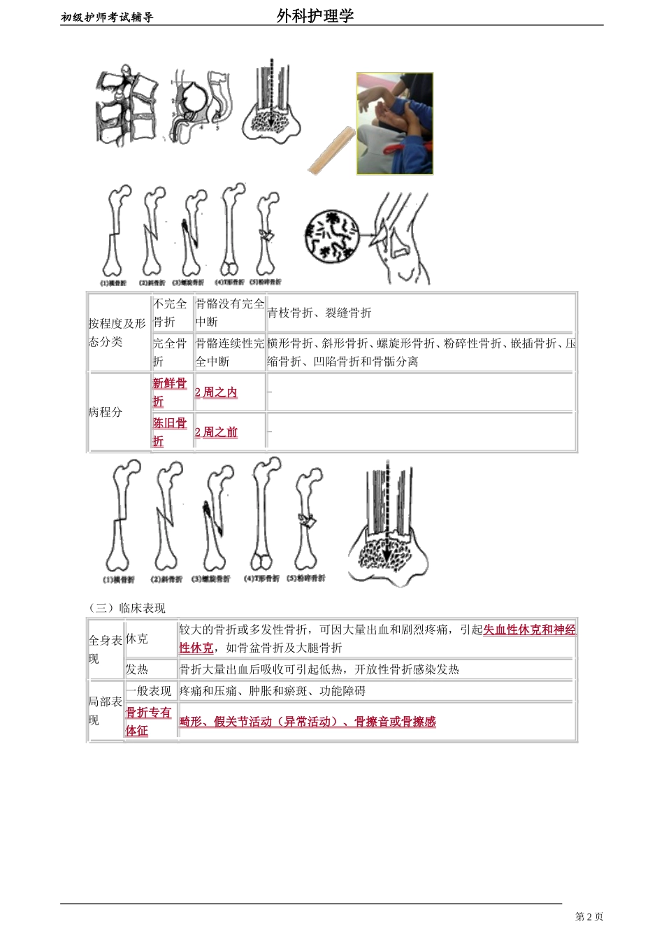 初级护师-外科护理学 第四十二章　骨与关节损伤病人的护理.doc_第2页