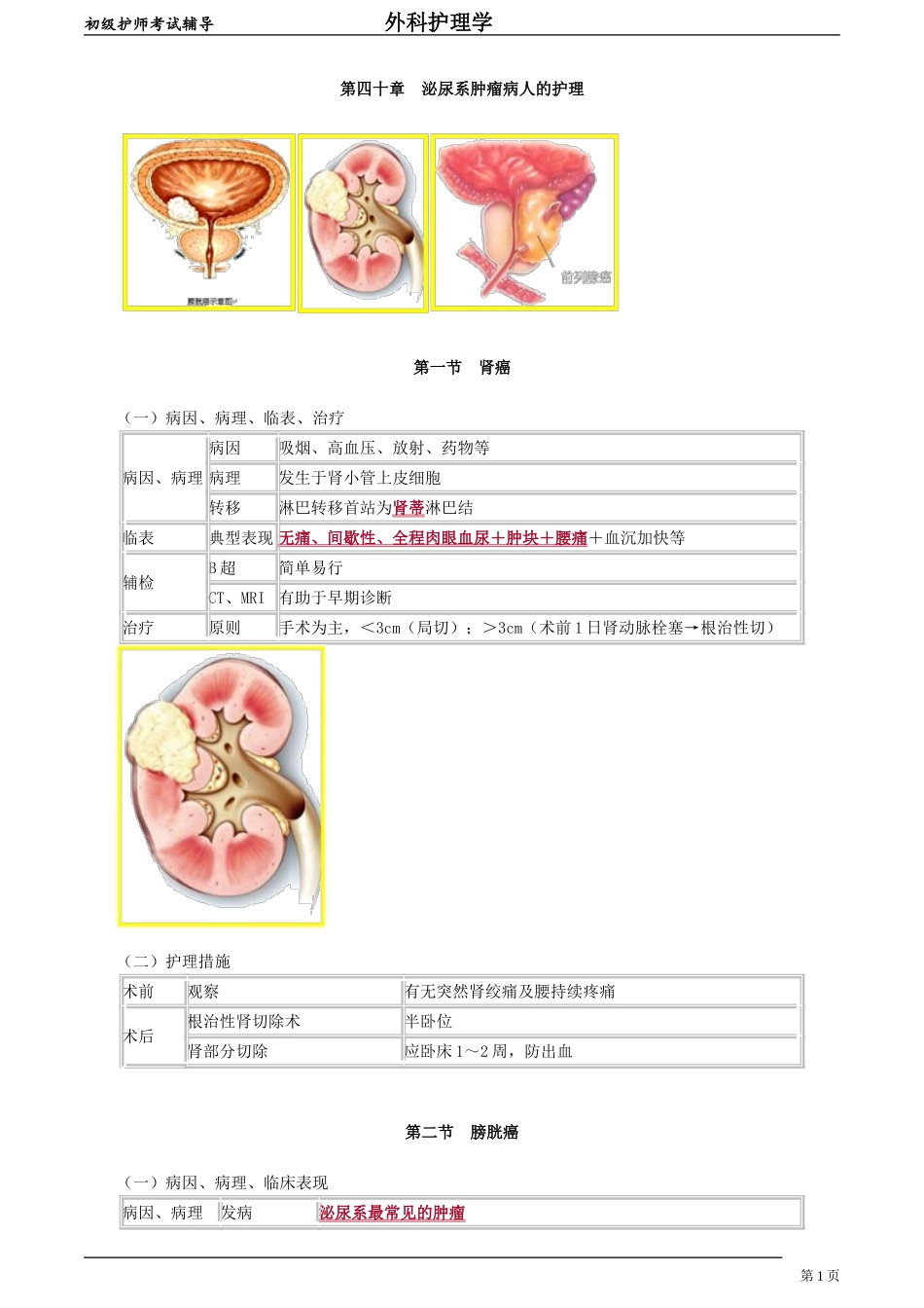 初级护师-外科护理学 第四十章　泌尿系肿瘤病人的护理.doc_第1页