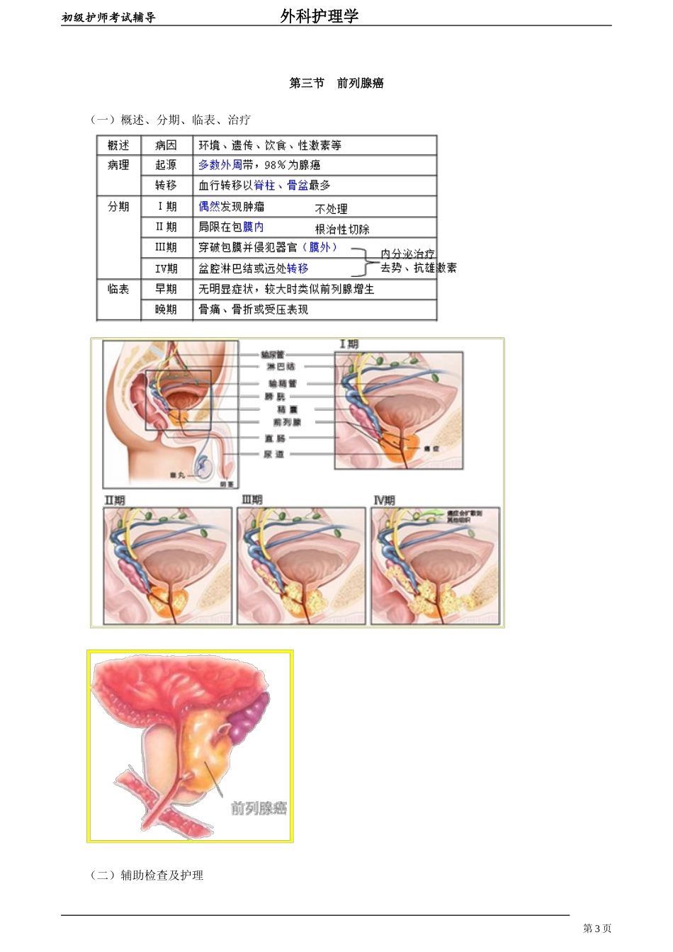 初级护师-外科护理学 第四十章　泌尿系肿瘤病人的护理.doc_第3页