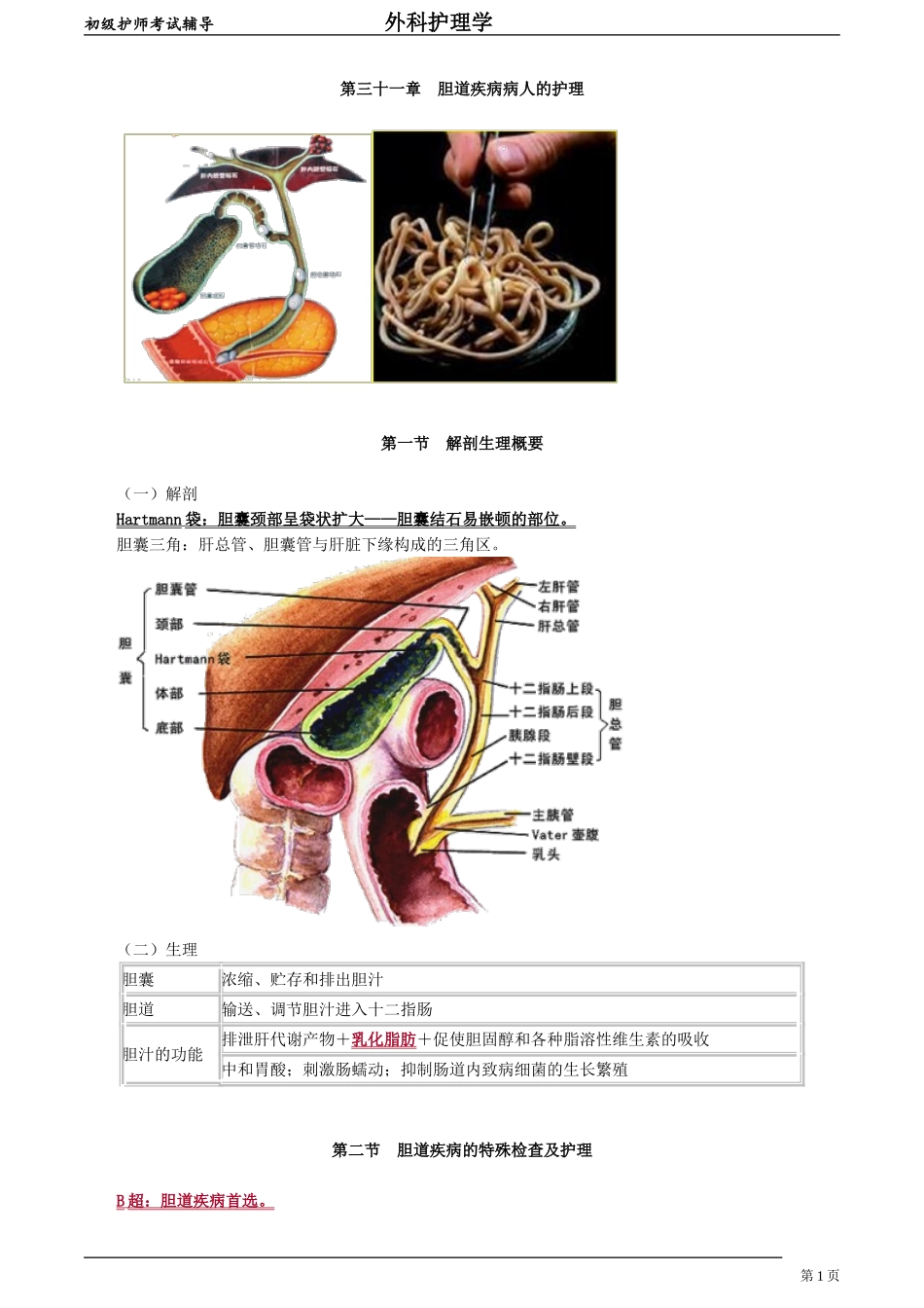 初级护师-外科护理学第三十一章　胆道疾病病人的护理.doc_第1页