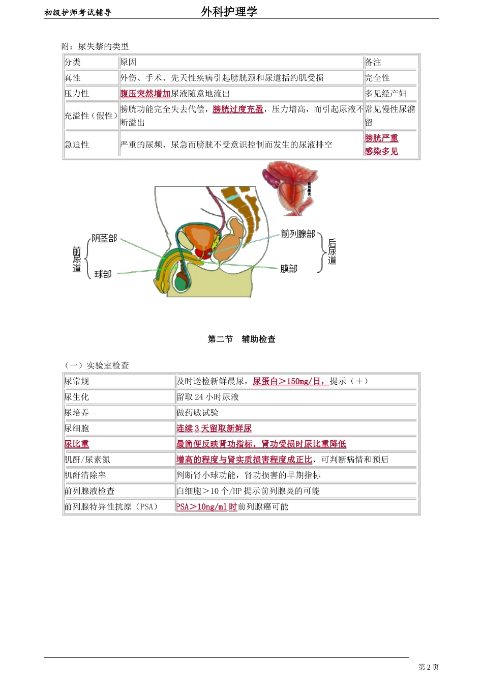 初级护师-外科护理学第三十五章　泌尿、男性生殖系统疾病的主要症状和检查.doc_第2页