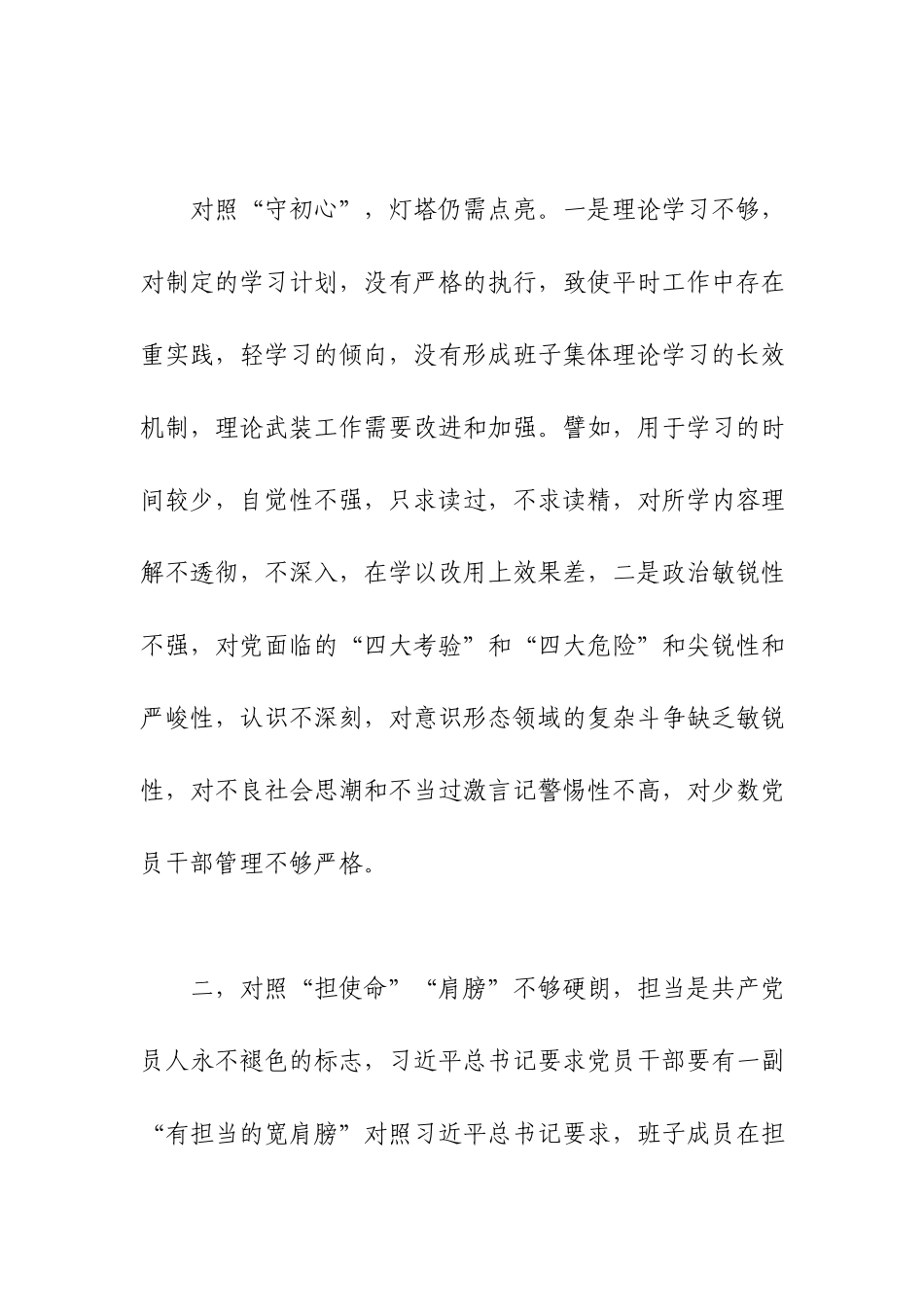 党支部班子检视剖析材料.docx_第2页