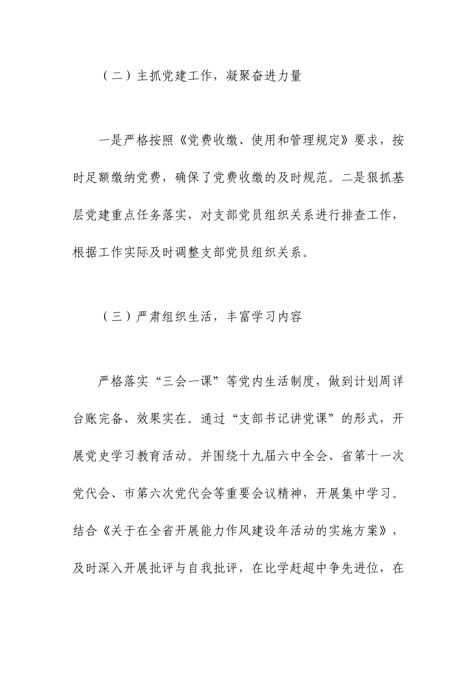 党支部书记党建工作述职报告.docx_第2页