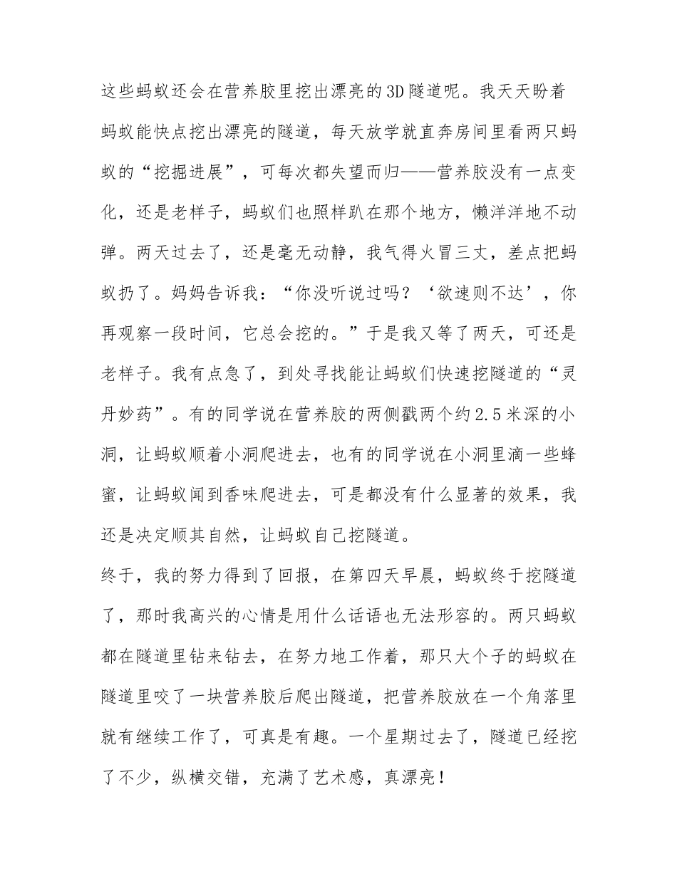 关于蚂蚁团结精神的作文通用版9篇.docx_第2页