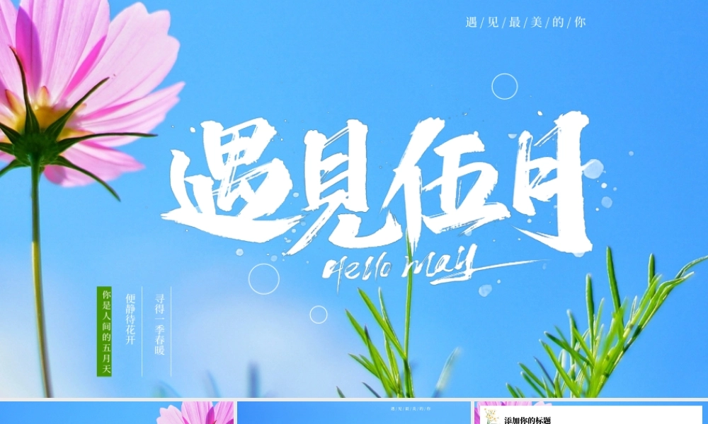 蓝色清新风遇见五月PPT通用模板.pptx