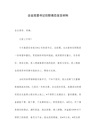 企业党委书记任职表态发言材料.docx