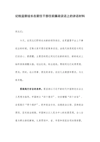 纪检监察组长在新任干部任前廉政谈话上的讲话材料.docx