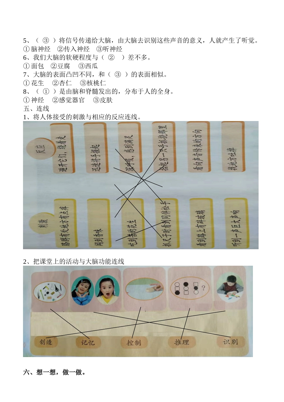 苏教版五年上册科学第五单元测试题（含答案）.doc_第2页