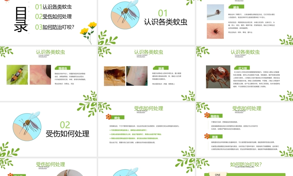 学校夏季预防蚊虫叮咬防护安全主题班会PPT课件（带内容）.ppt