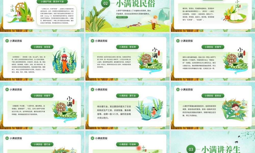 中国传统二十四节气-小满节气介绍麦穗初齐稚子娇桑叶正肥蚕食饱PPT课件（带内容）.pptx