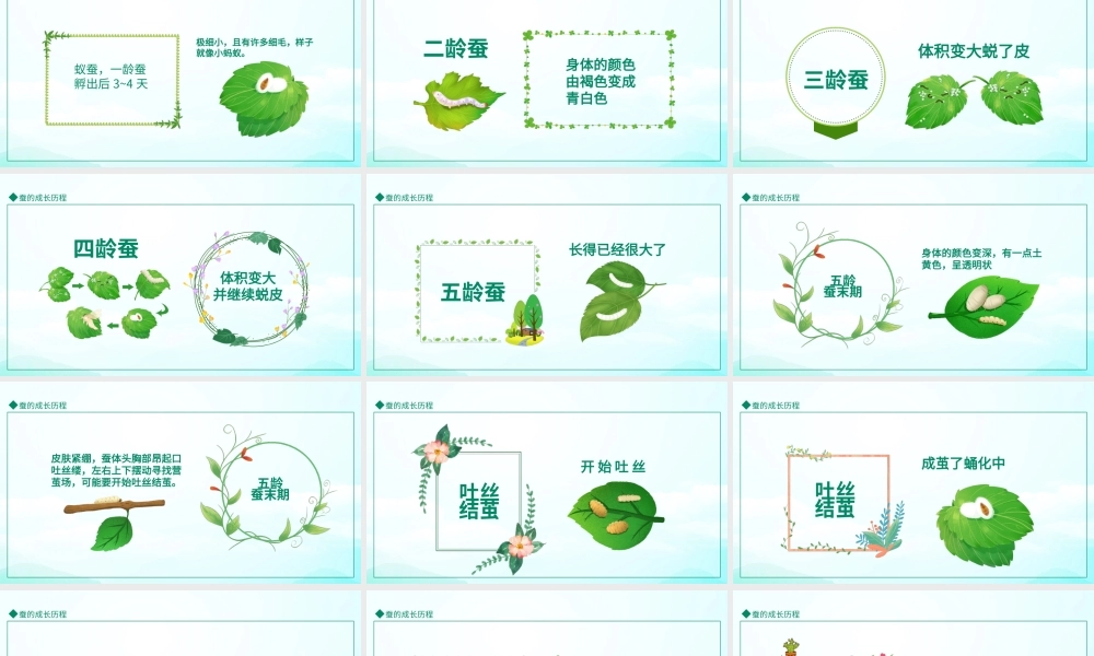 幼儿园培训课程PPT蚕的成长历程动态PPT课件（带内容）.pptx