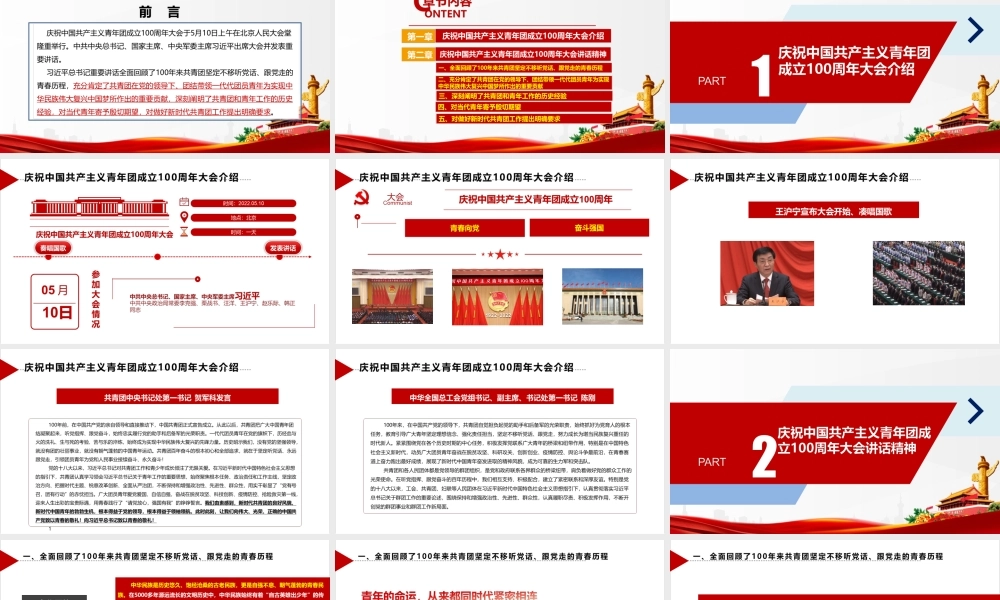 《庆祝建团100周年》大会讲话专题课件PPT.ppt