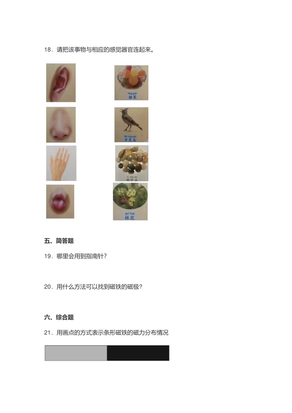 教科版2022-2023年小学二年级科学下册期中复习试卷及答案.docx_第3页