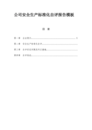 公司安全生产标准化自评报告模板.docx