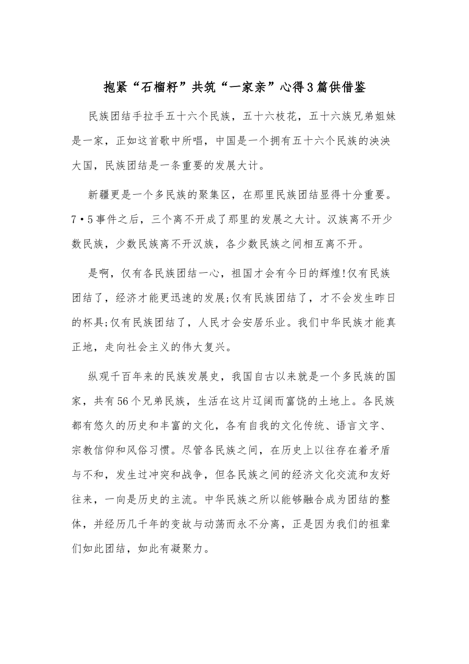 抱紧“石榴籽”共筑“一家亲”心得3篇供借鉴.docx_第2页