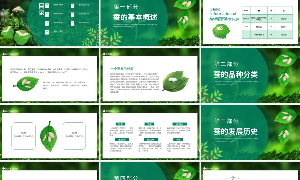 幼儿园养蚕知识PPT蚕宝宝蚕的一生变了新模样PPT课件（带内容）.pptx