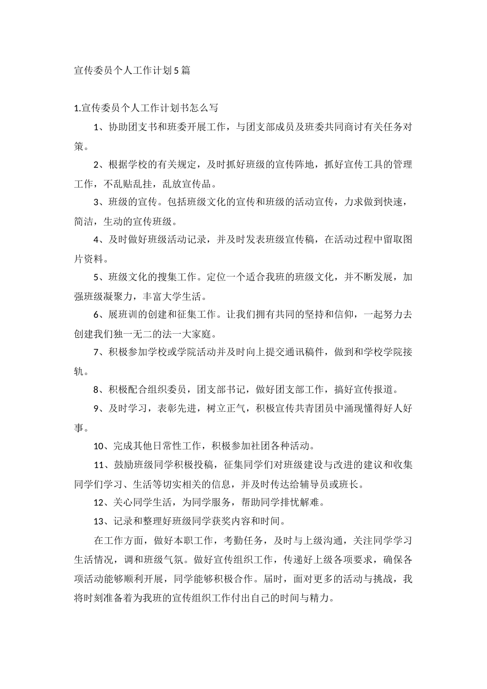 宣传委员个人工作计划5篇.docx_第1页