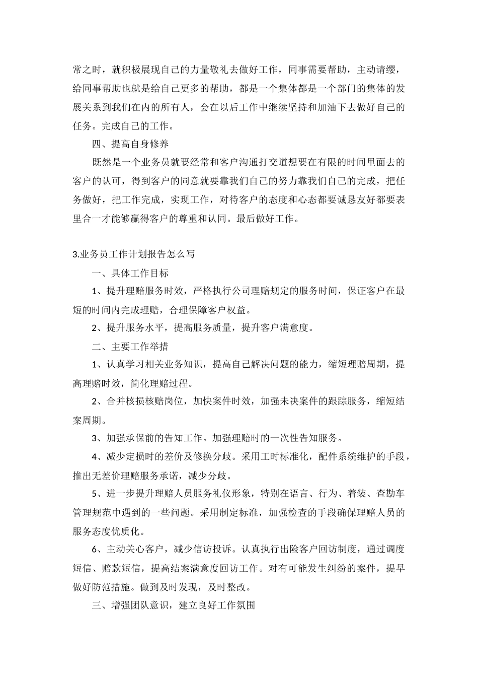 业务员工作计划报告5篇.docx_第3页