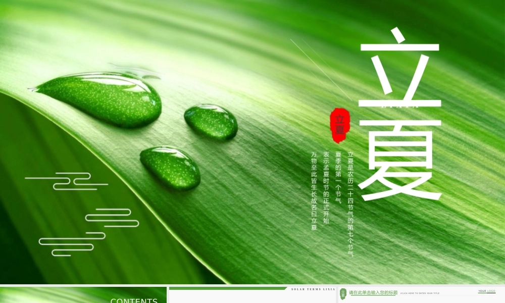 中国风夏至节气传统文化介绍PPT模板.pptx