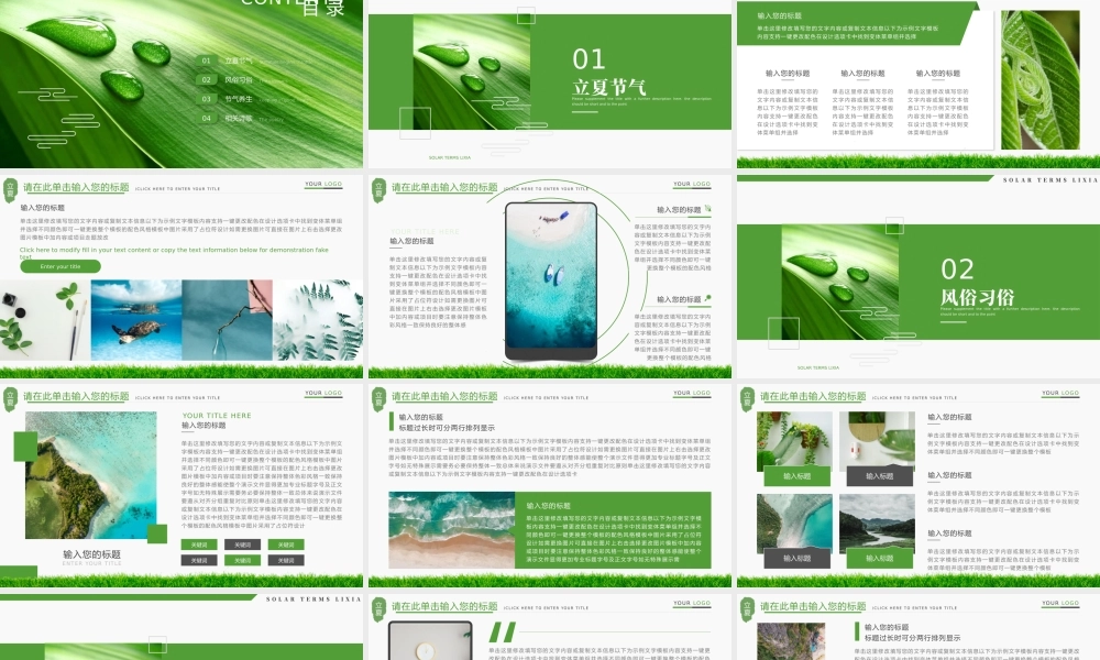 中国风夏至节气传统文化介绍PPT模板.pptx