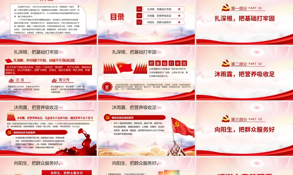 庆祝建团100周年大会讲话学习PPT让青春之花在基层一线绽放PPT课件（带内容）.ppt