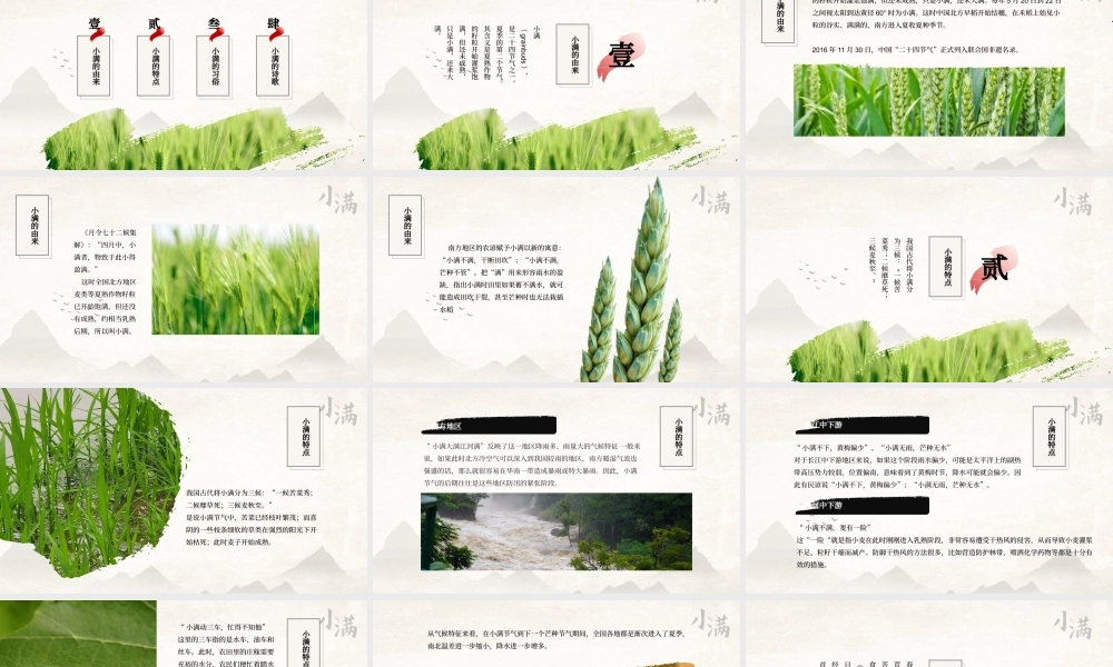 中国传统二十四节气小满节气介绍ppt课件（带内容）.pptx