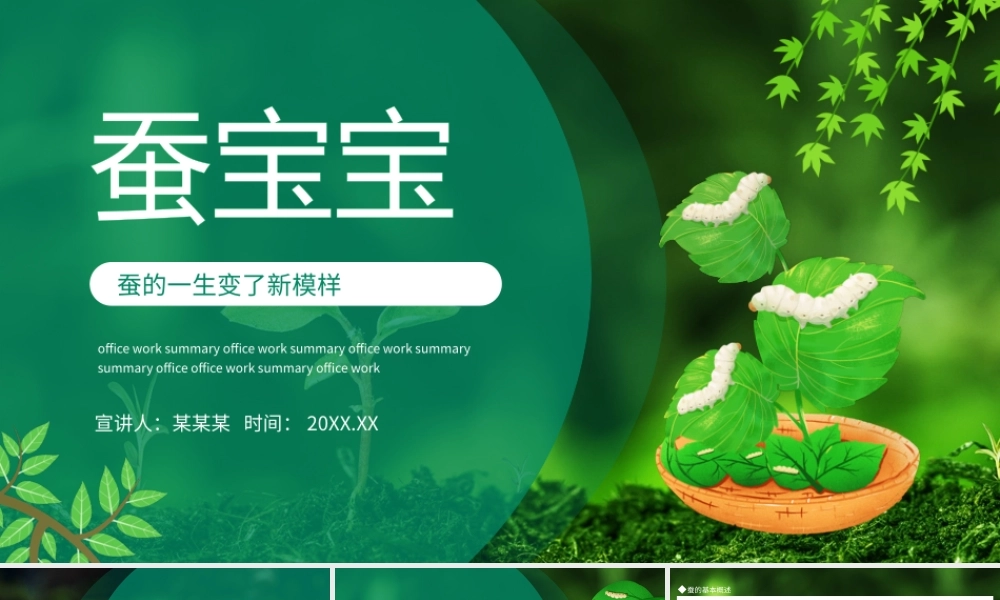 蚕宝宝蚕的一生变了新模样动态PPT.pptx