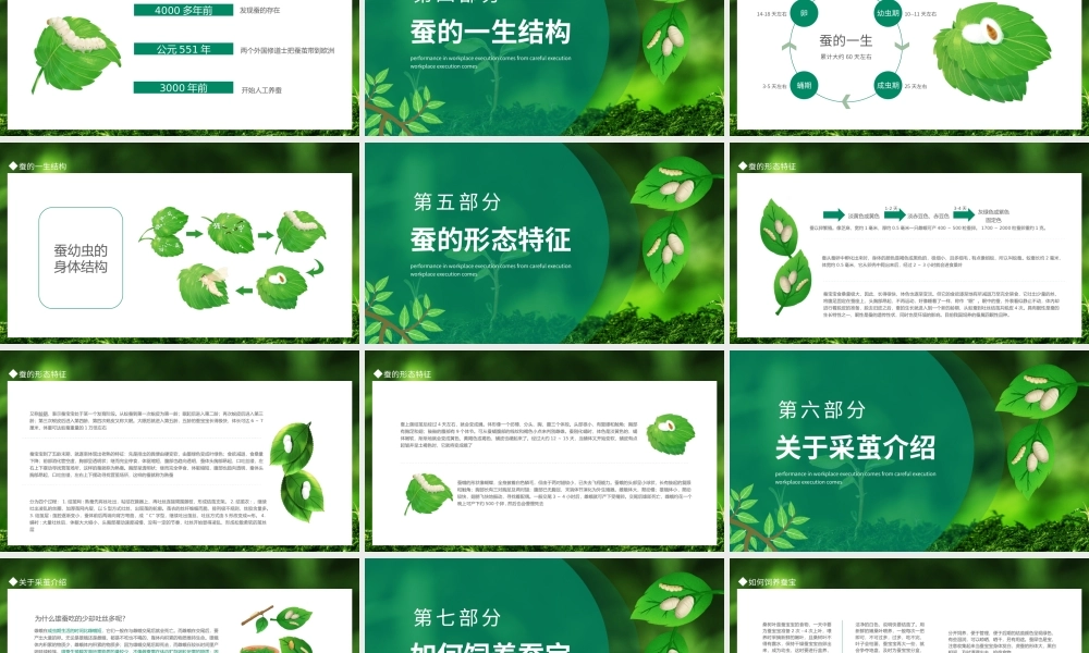 蚕宝宝蚕的一生变了新模样动态PPT.pptx