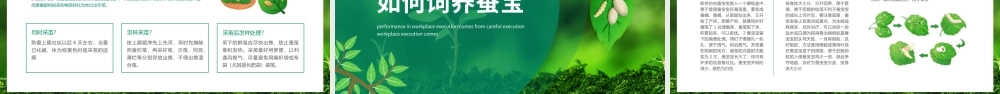 蚕宝宝蚕的一生变了新模样动态PPT.pptx