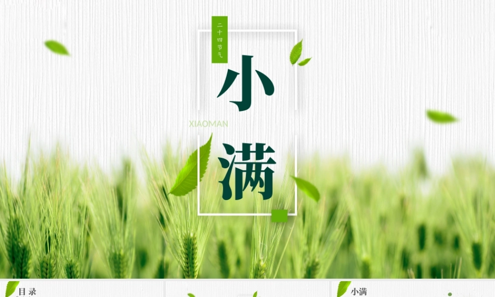20XX中国传统二十四节气小满节气介绍ppt课件（带内容）.pptx